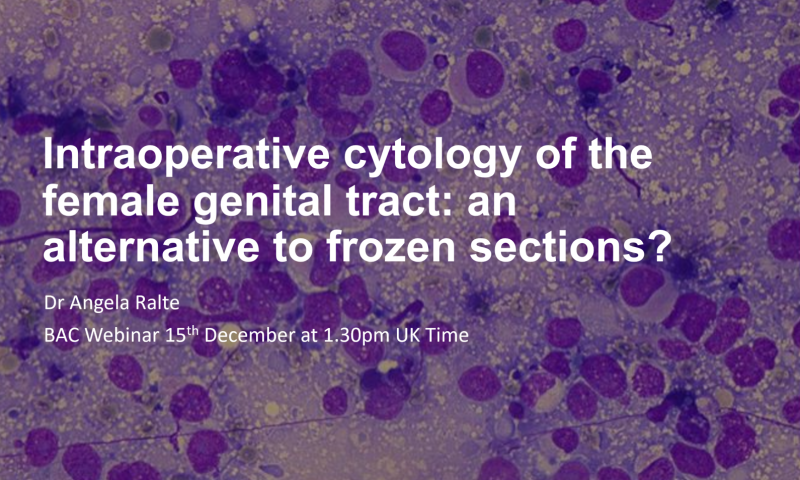 Intraoperative cytology of the female genital tract: