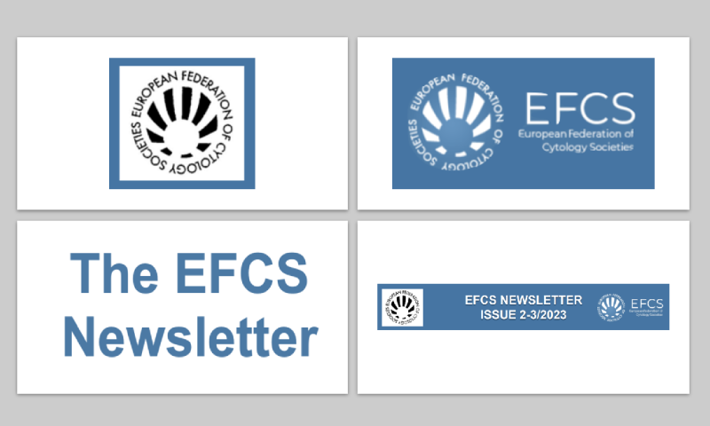 EFCS Newsletter Issue 2-3/2023