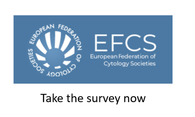 Mentorship and sponsorship in cytopathology - EFCS Survey