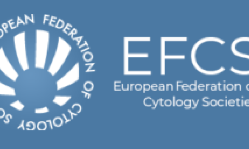 EFCS Newsletter