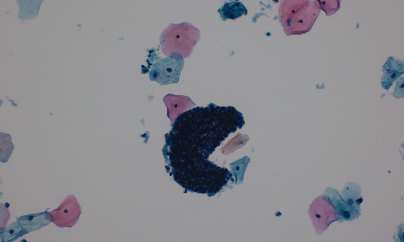 July Image Of The Month Winner - Donna Rainey - Polymorph Pacman