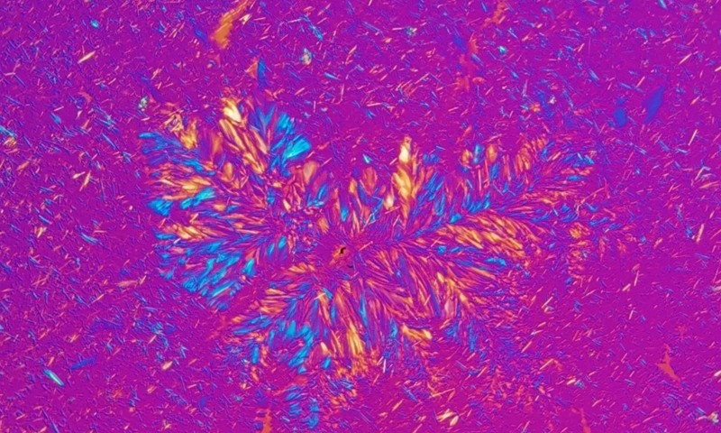 Image of the Month winner for April 2026