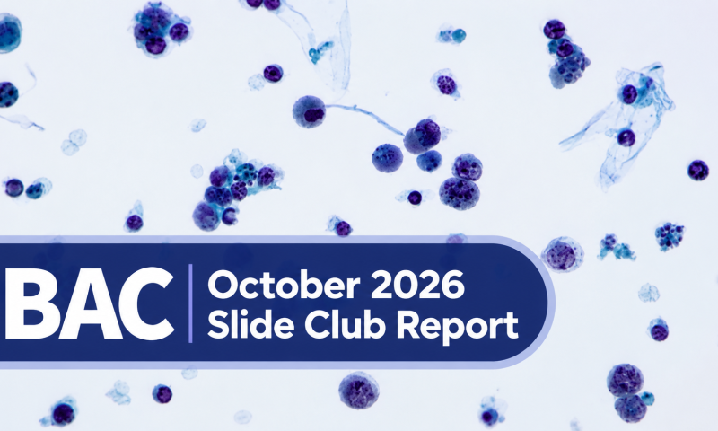 BAC Monthly Slide Club Report October 2026
