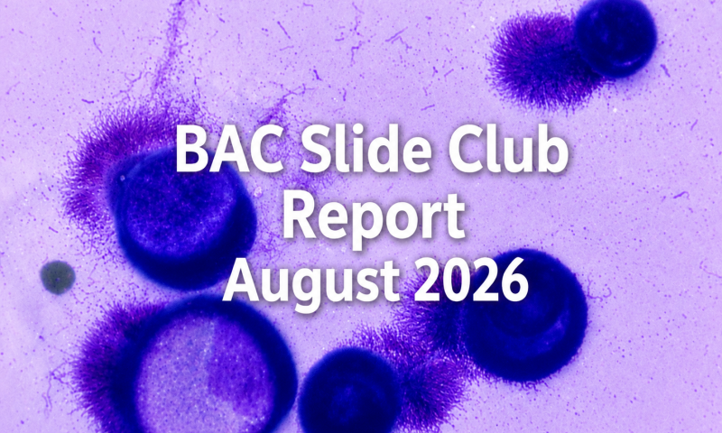 BAC Slide Club August Report