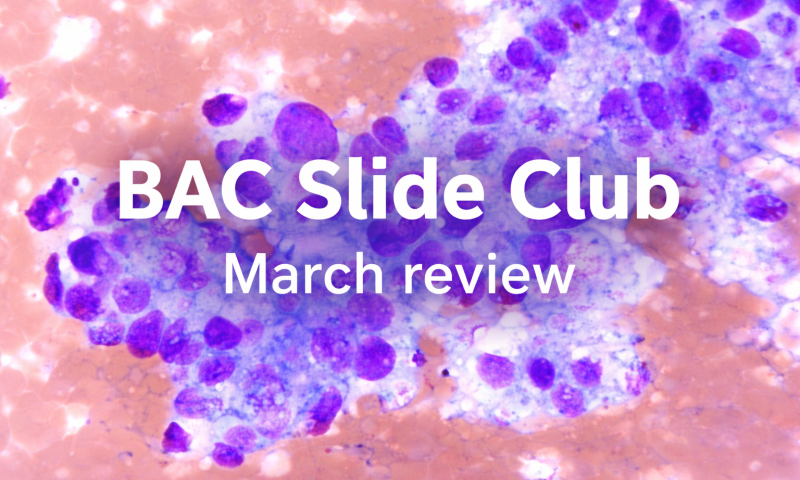 March Slide Club review