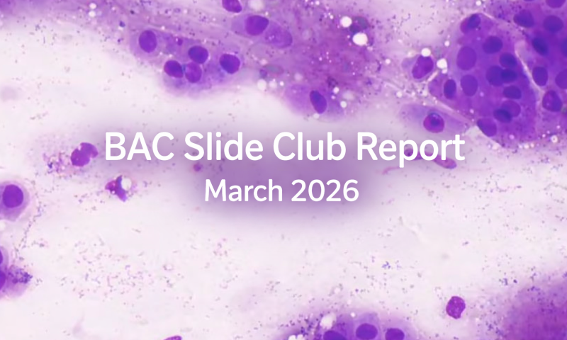 Breast Core Imprint Cytology: Key Learning from BAC Slide Club