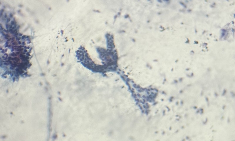 Image Of The Month Winner - January 2026 Dancing Queen