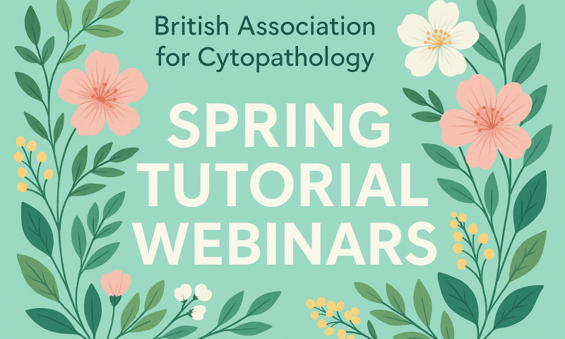 The BAC Spring Tutorials are now available to watch!