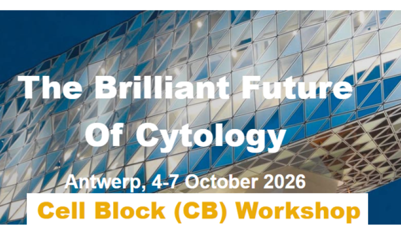 Registration is open for the Cell block workshop - ECC 2026 Antwerp