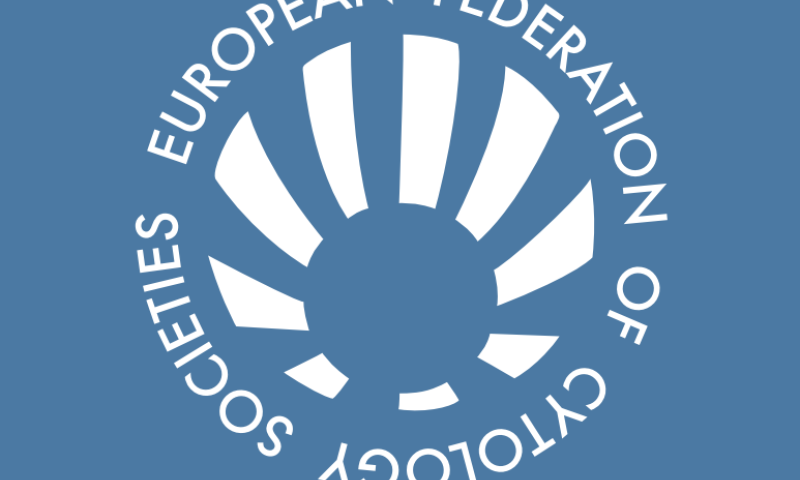 Young EFCS survey