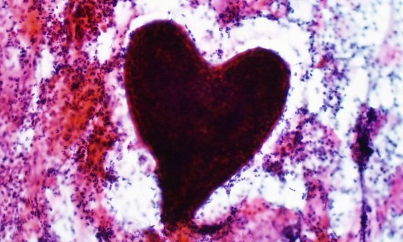 February Image Of The Month Winner - Richard Turner - Valentine's Heart
