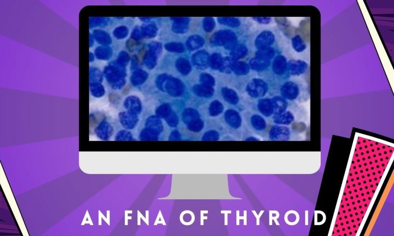 The latest case study and quiz is here!