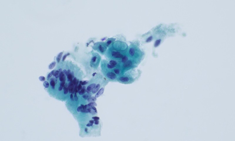 January 2026 Case Study