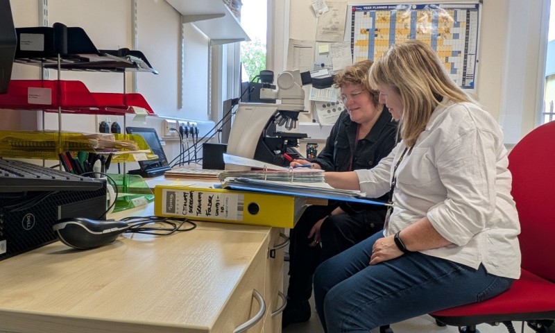 October blog - The Role of the Internal Verifier in Cervical Cytology training and education