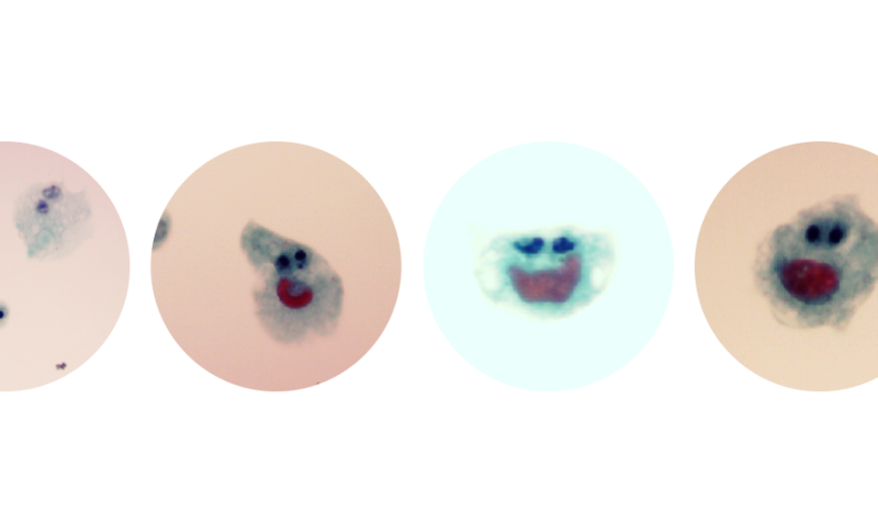 Image of the Month winner for March 2026