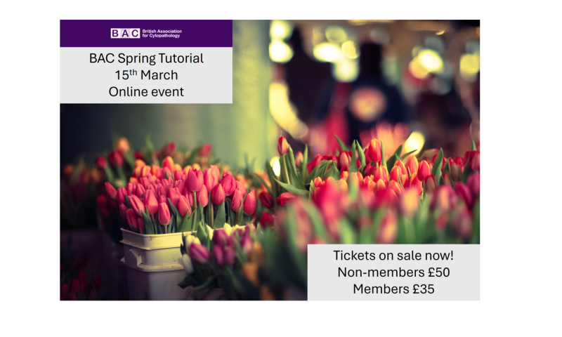 Register for the BAC Spring Tutorial!