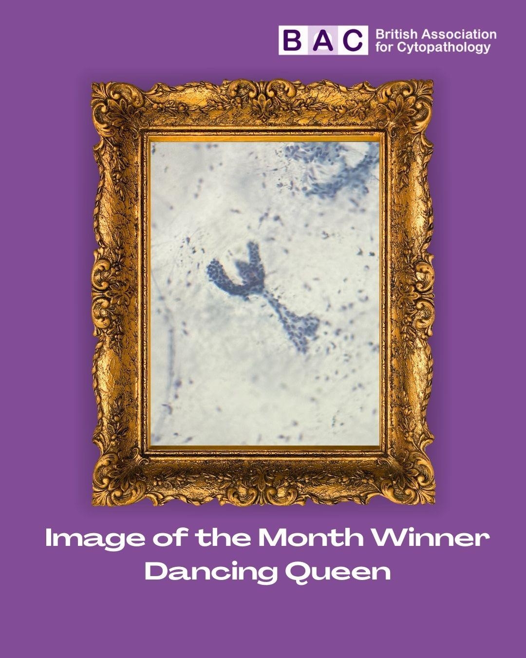 Instagram Templates 4