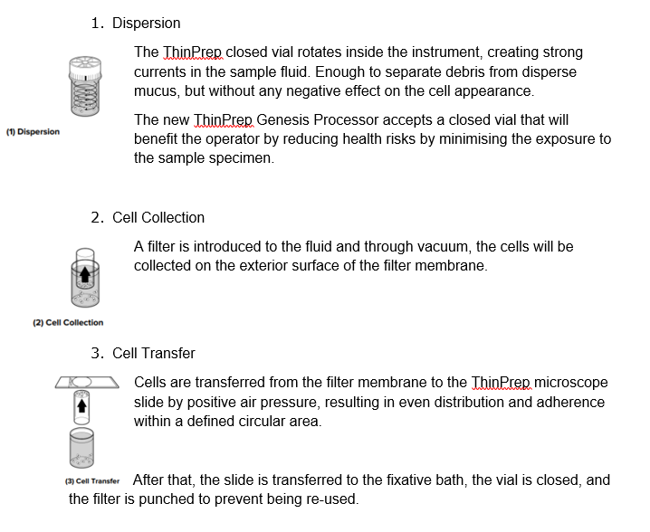 Screenshot 2025 09 29 180329