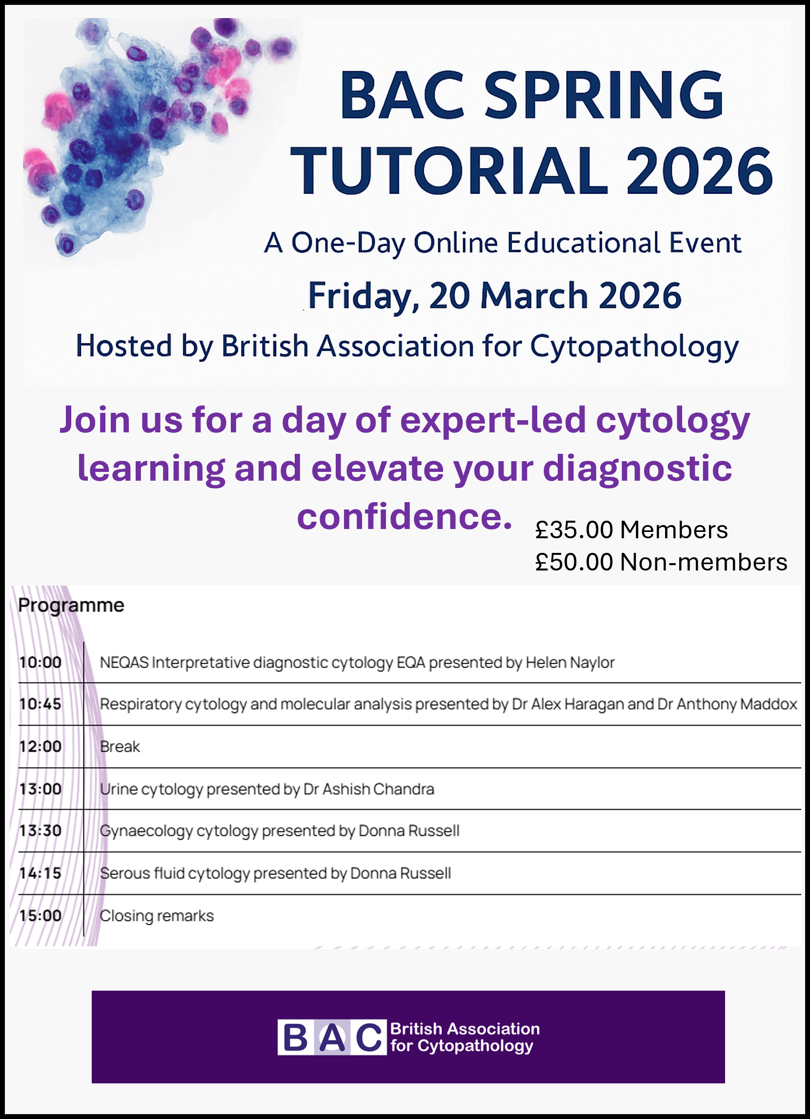 descriptive alt text here