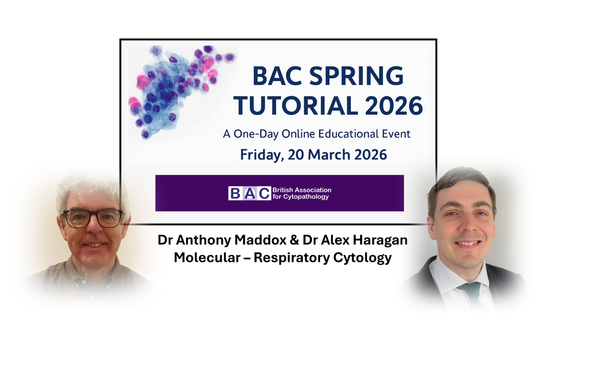 Spring Computer Bac The BAC Spring Tutorials are now available to watch! | BAC